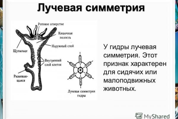 Кракен это сайт что продают